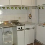 Monolocale Rubin 40